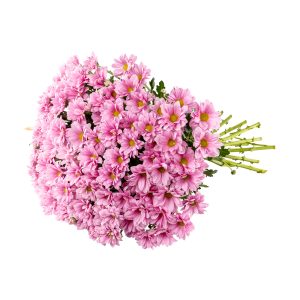 Complex Clipping Path cost